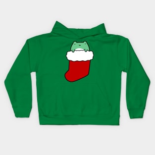 Christmas Stocking Frog Kids Hoodie